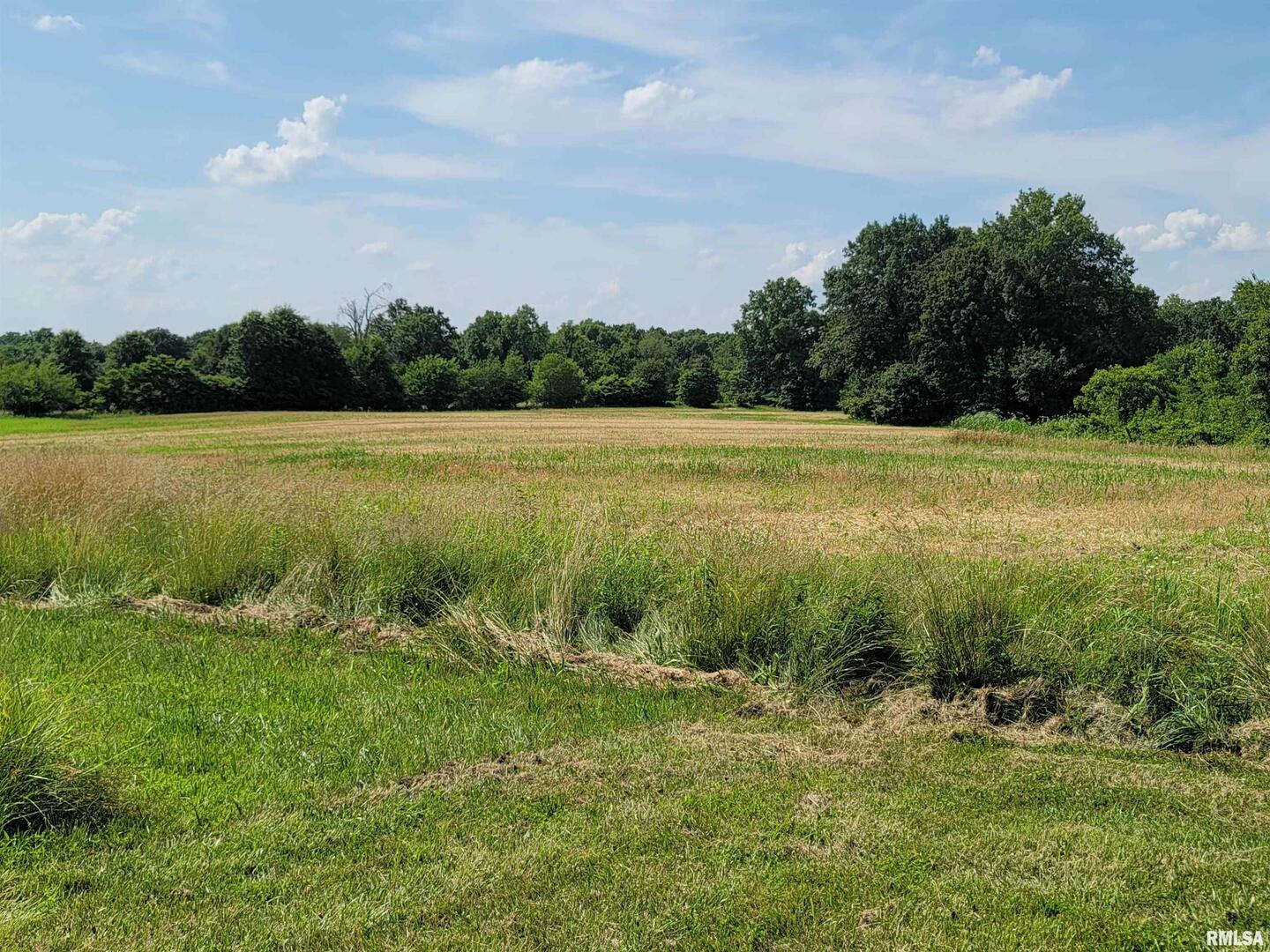 3993 Greenridge Road Alma, IL 62807 - Photo 38 of 45 a view of a field with an ocean view