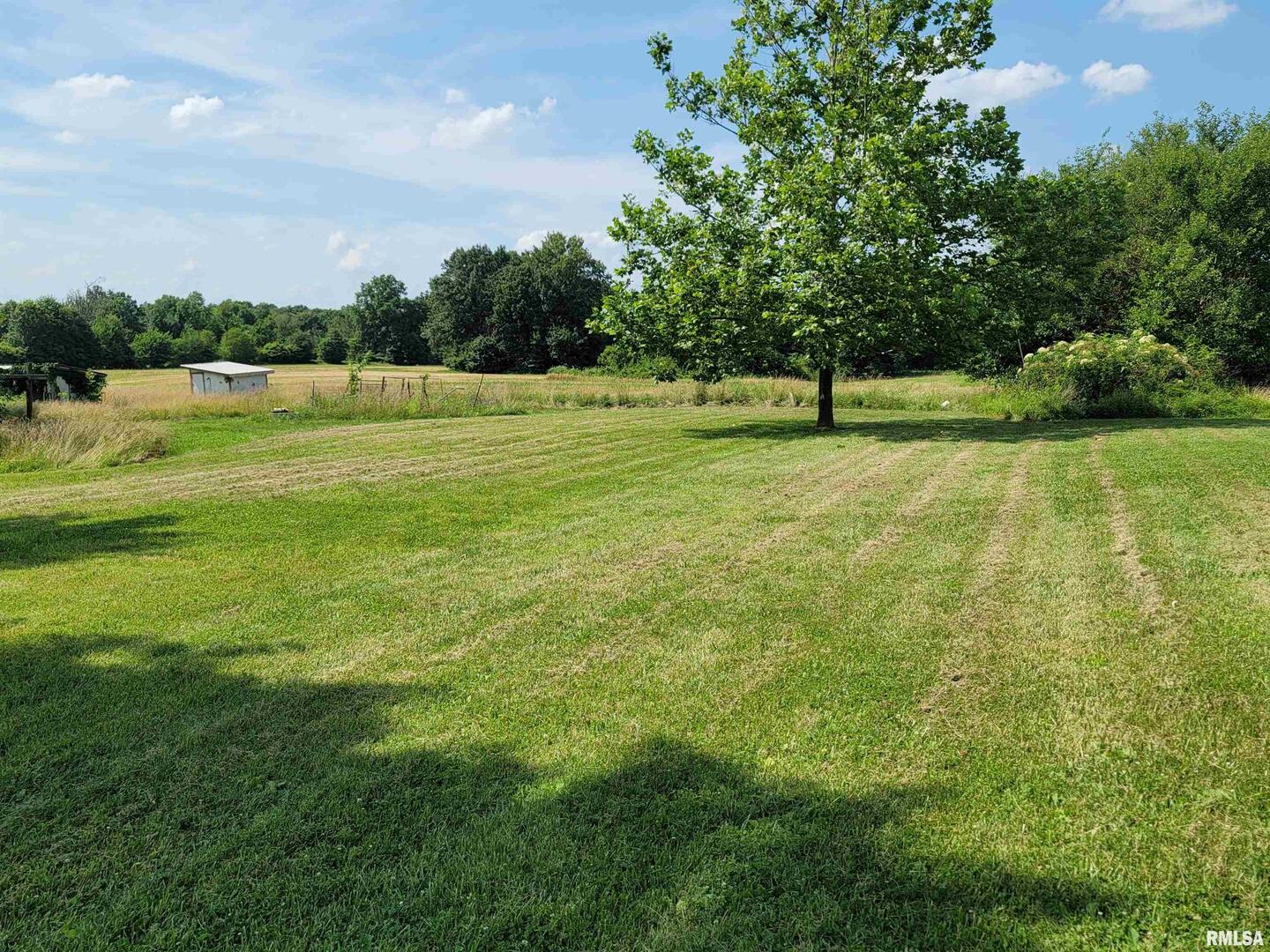 3993 Greenridge Road Alma, IL 62807 - Photo 5 of 45 a view of a green field with a tree