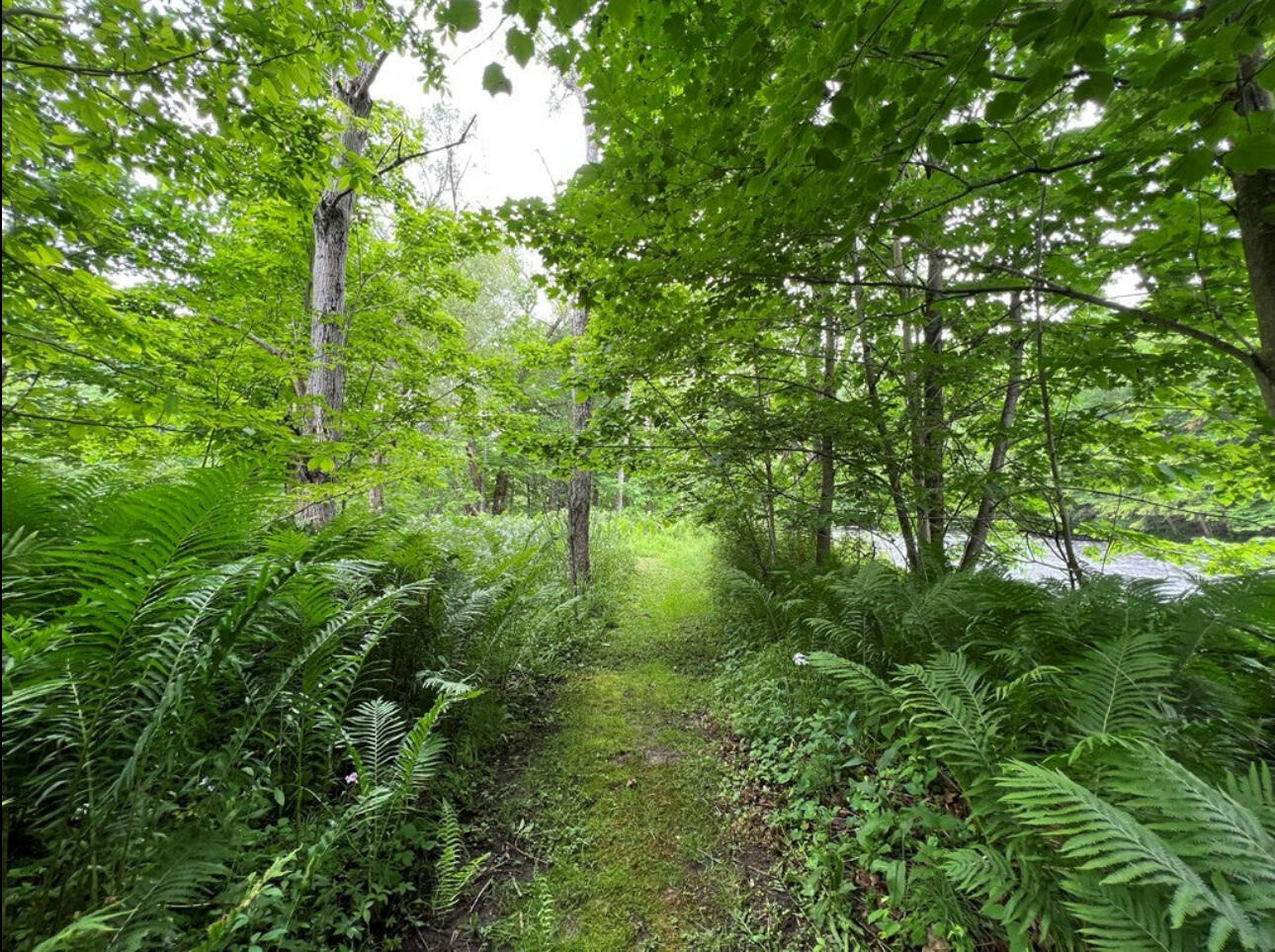 15 Simms Road Chateaugay, NY 12920 - Photo 28 of 35 IMG_1205