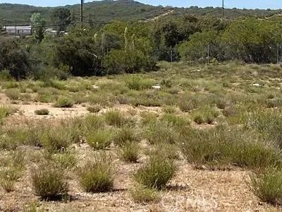 19 Higgins Road Anza, CA 92539 - Photo 14 of 18