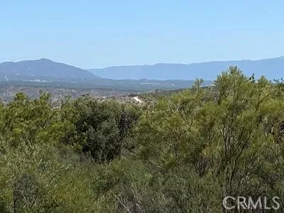 19 Higgins Road Anza, CA 92539 - Photo 15 of 18