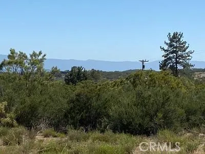 19 Higgins Road Anza, CA 92539 - Photo 17 of 18