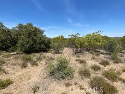 19 Higgins Road Anza, CA 92539 - Photo 7 of 18