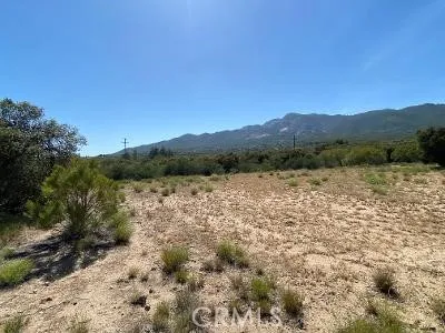 19 Higgins Road Anza, CA 92539 - Photo 9 of 18