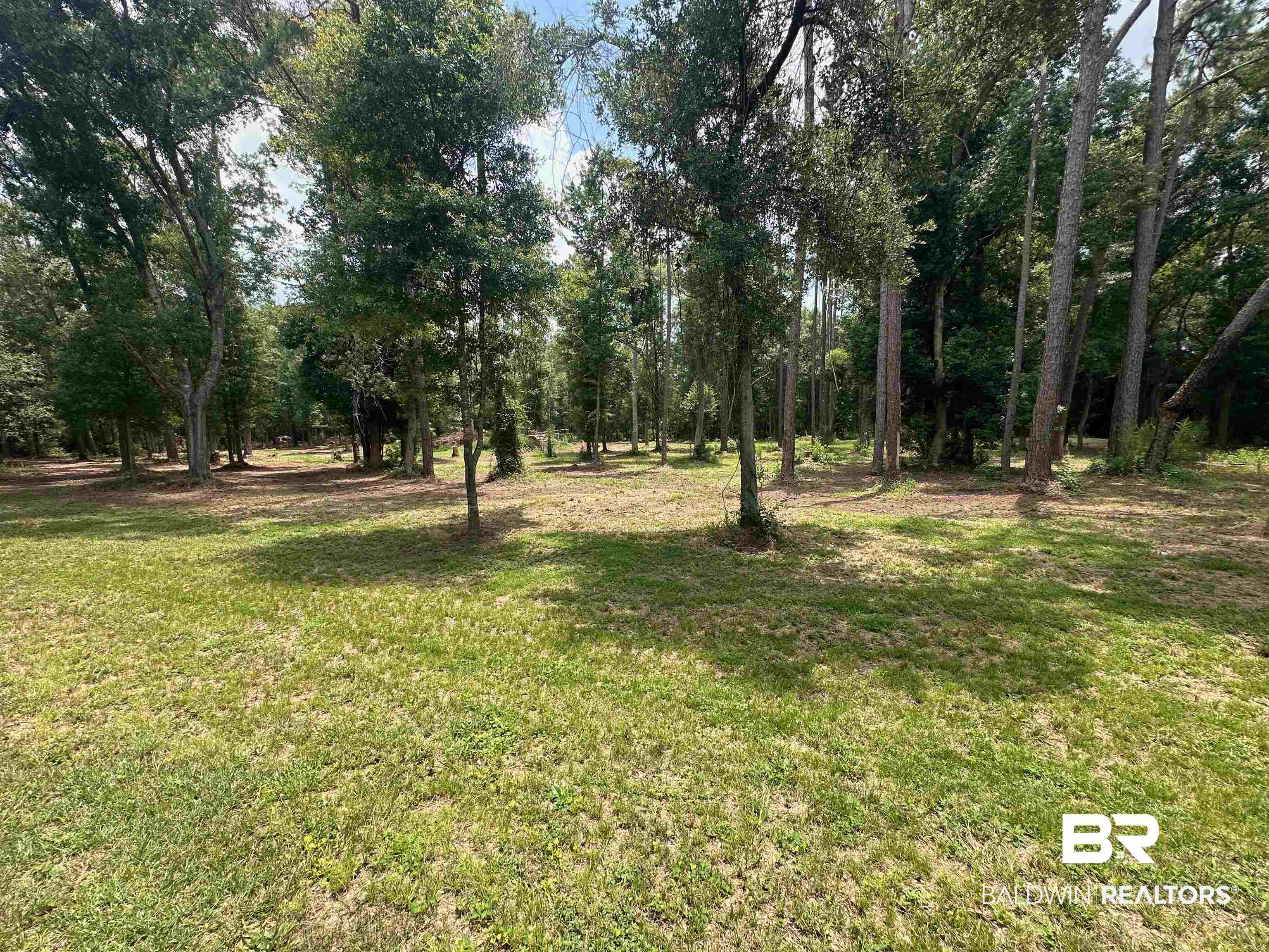 23040 Forland Road Silverhill, AL 36576 - Photo 3 of 13 View of yard