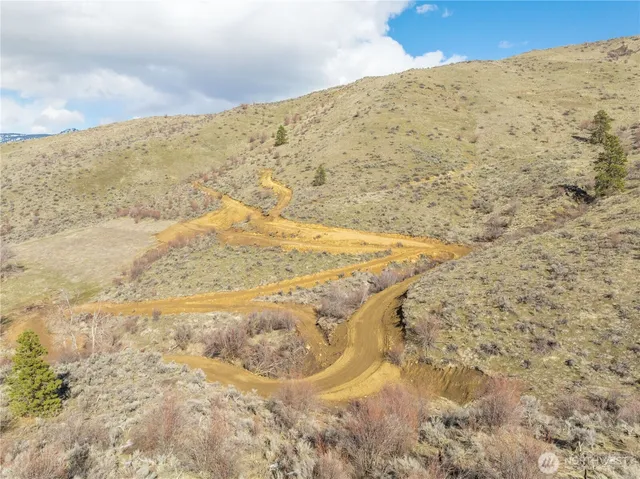 a view of a dry yard with mountains in the background