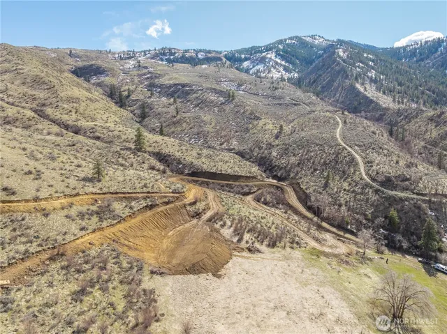 a view of a dry yard with trees