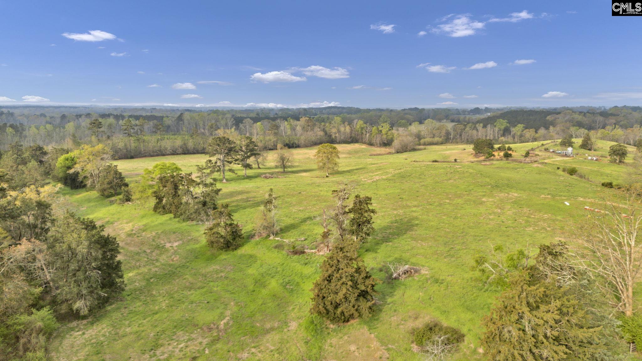 8347 St Lukes Church Road Newberry, SC 29108 - Photo 14 of 96