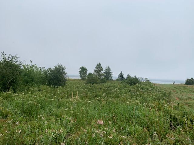 0 South Lubec Road Lubec, ME 04652 - Photo 4 of 6 Cobb Lubec 3