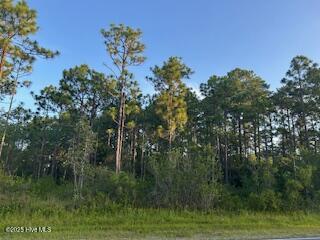 L365-366 Drayton Road Southport, NC 28461 - Photo 1 of 1 2 level adjoining lots for your dream home!