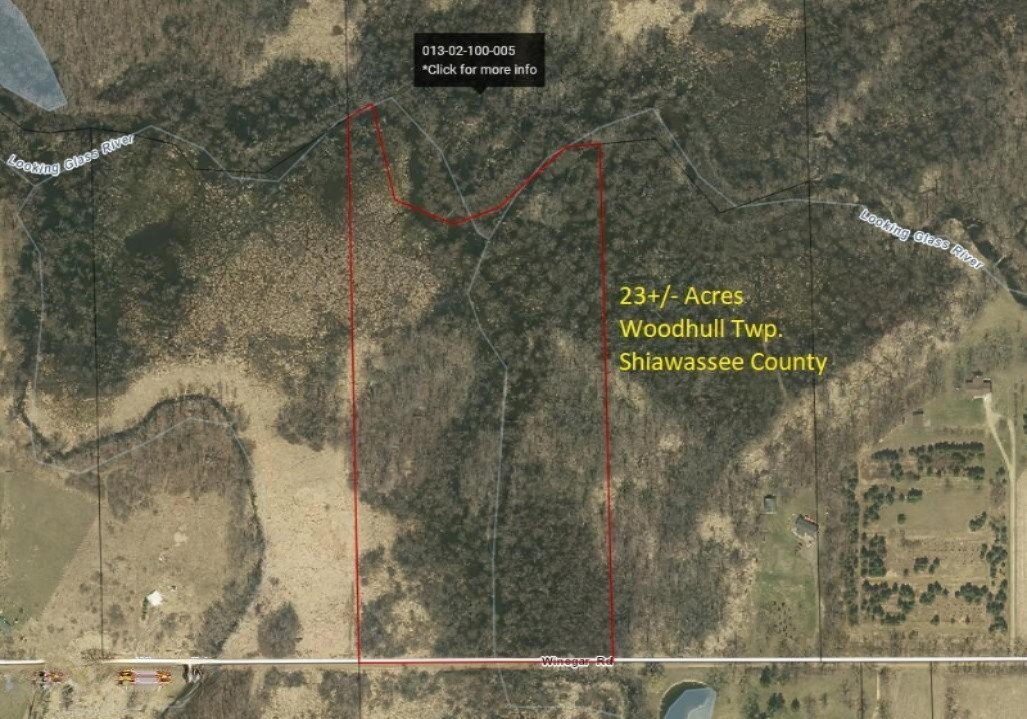 Vl Winegar Road Perry, MI 48872 - Photo 1 of 49 Aerial1