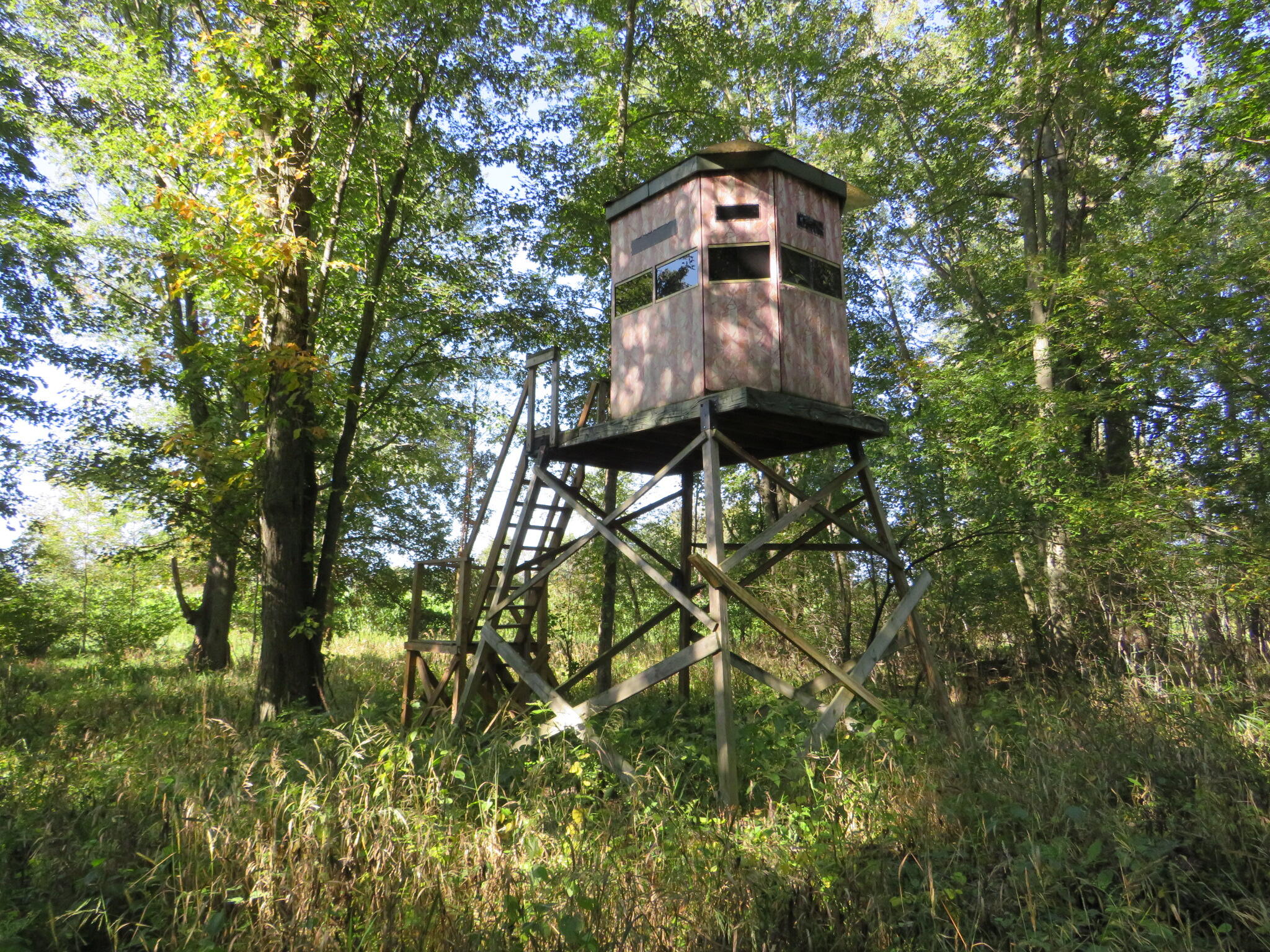 Vl Winegar Road Perry, MI 48872 - Photo 23 of 49 IMG_1117
