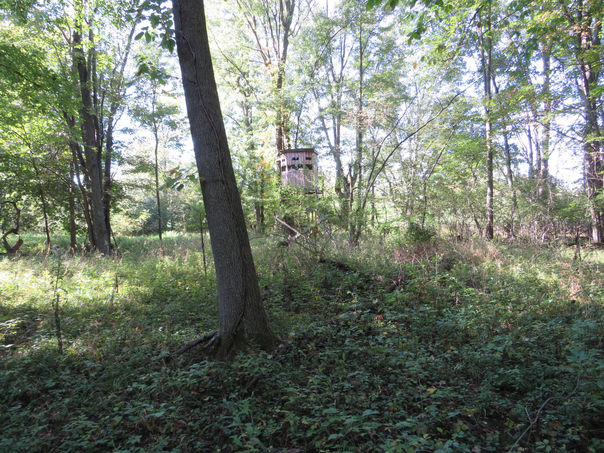 Vl Winegar Road Perry, MI 48872 - Photo 25 of 49 IMG_1119