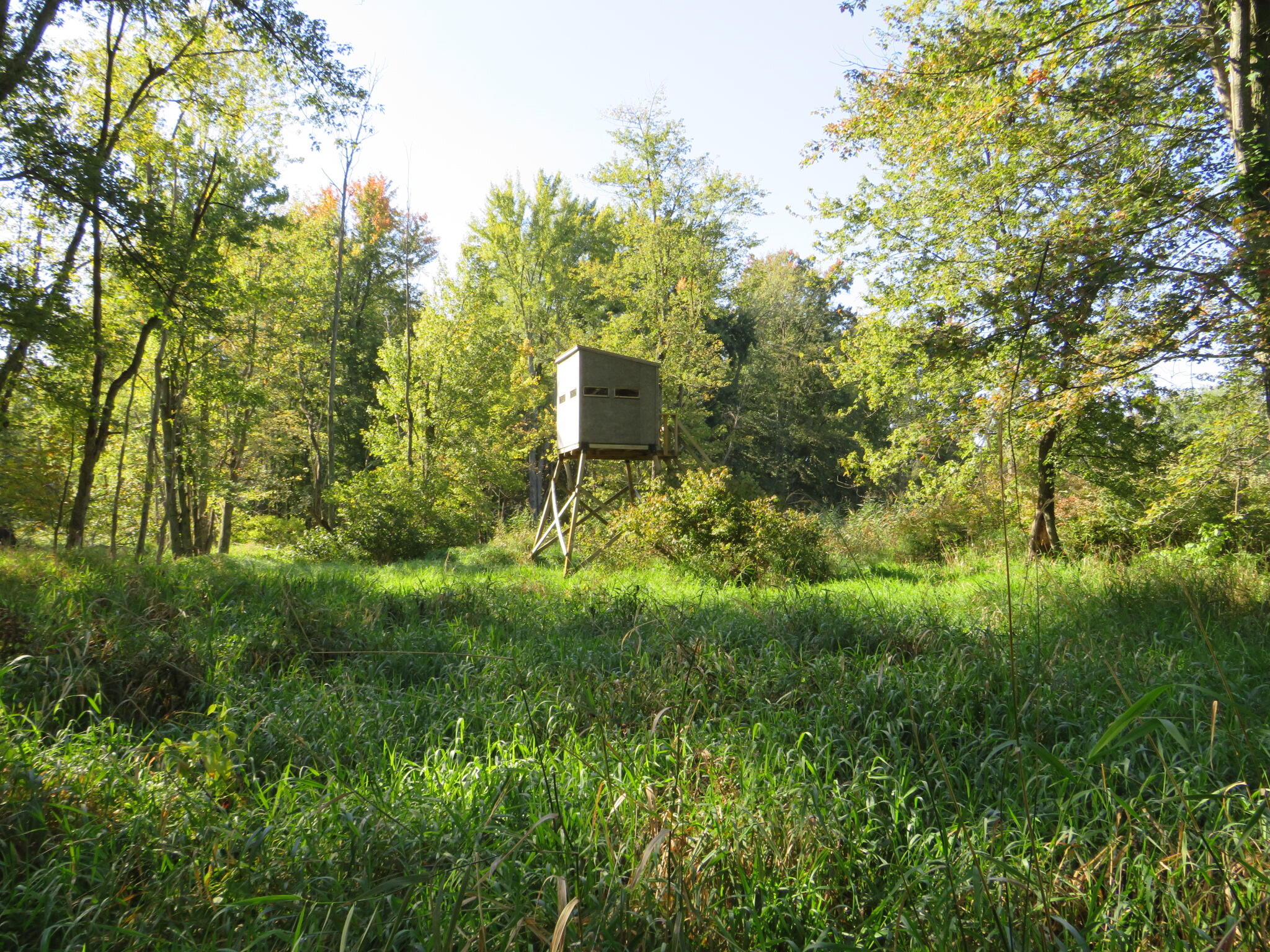 Vl Winegar Road Perry, MI 48872 - Photo 46 of 49 IMG_1140