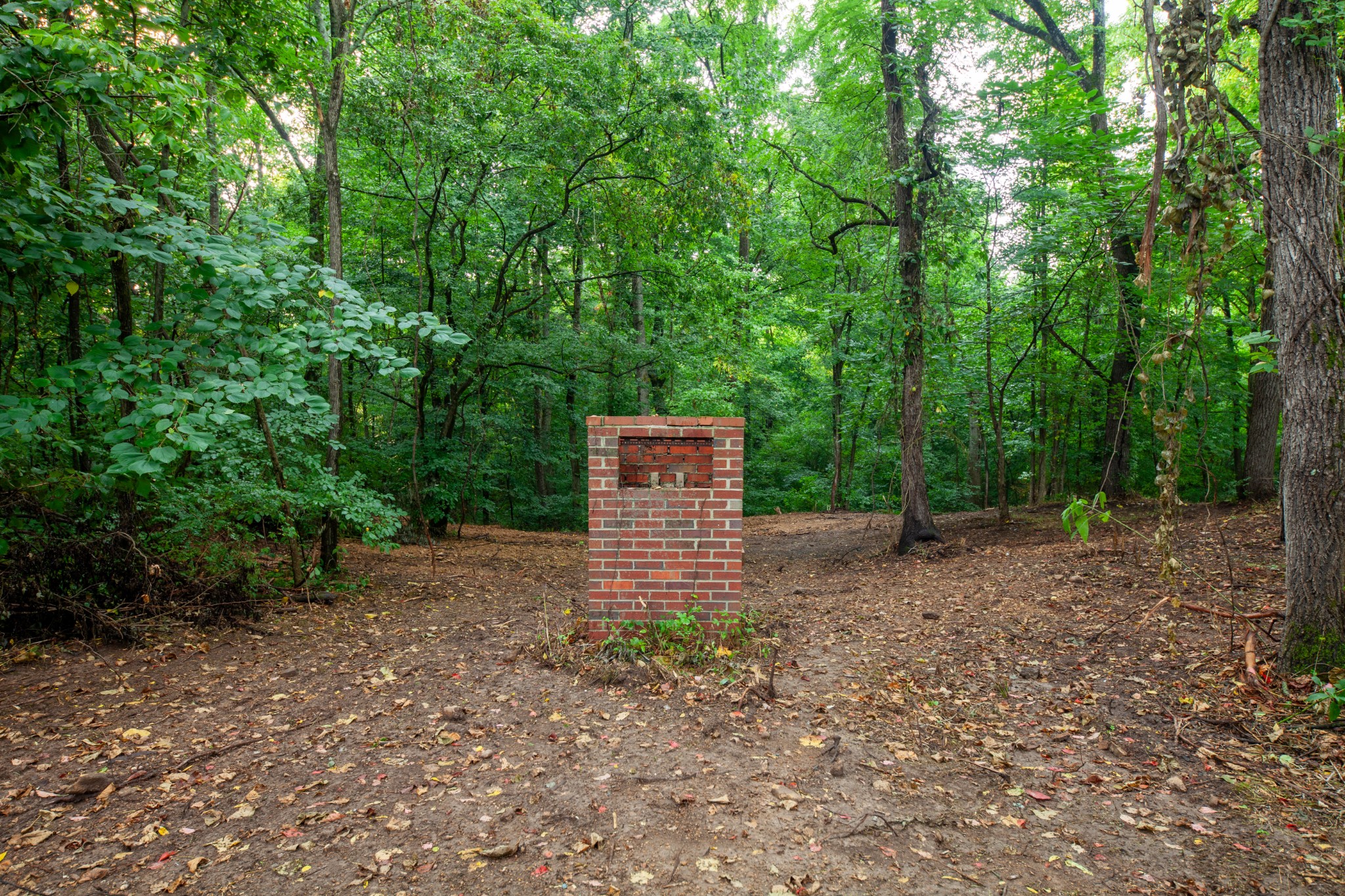 154 Waterfork Road Ethridge, TN 38456 - Photo 16 of 18 Gallery Image 16