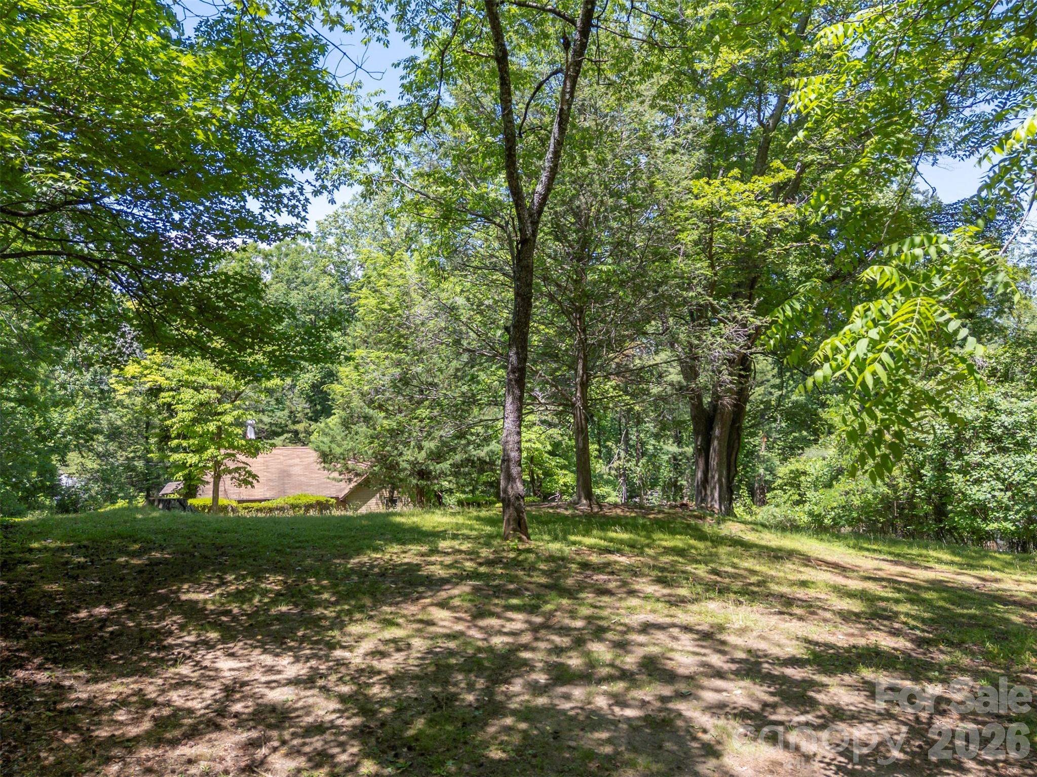 77 1st Street Tryon, NC 28782 - Photo 3 of 20 a big yard with lots of green space and trees