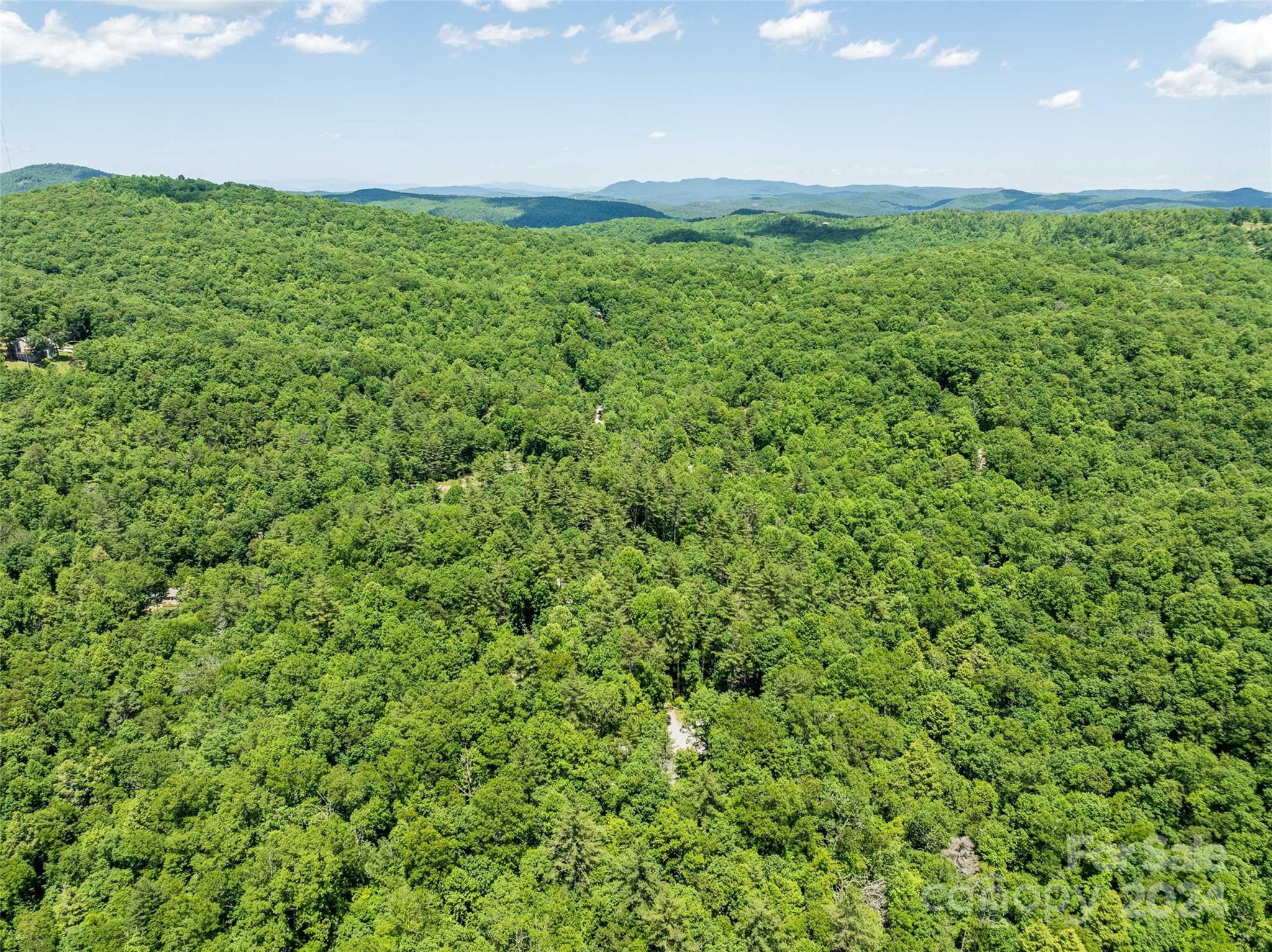 78 Smiling Fox Trail Brevard, NC 28712 - Photo 1 of 22 a view of a big yard with plants and large trees