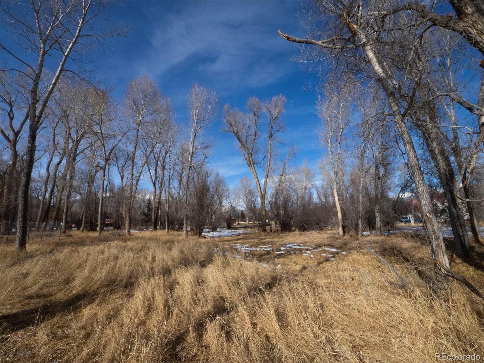 Tee Road Buena Vista, CO 81211 - Photo 5 of 7 a view of dirt field with trees