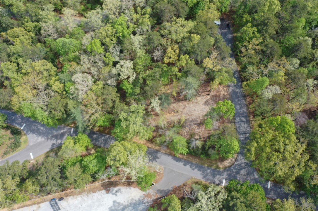 Lot 26 Turtlehead Drive Salem, SC 29676 - Photo 1 of 11 This aerial perspective showcases a wooded lot with serene, winding roads.