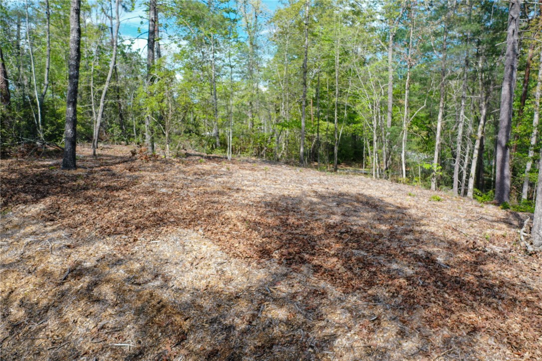Lot 26 Turtlehead Drive Salem, SC 29676 - Photo 2 of 11 A spacious lot offering abundant greenery, perfect for building your dream home.