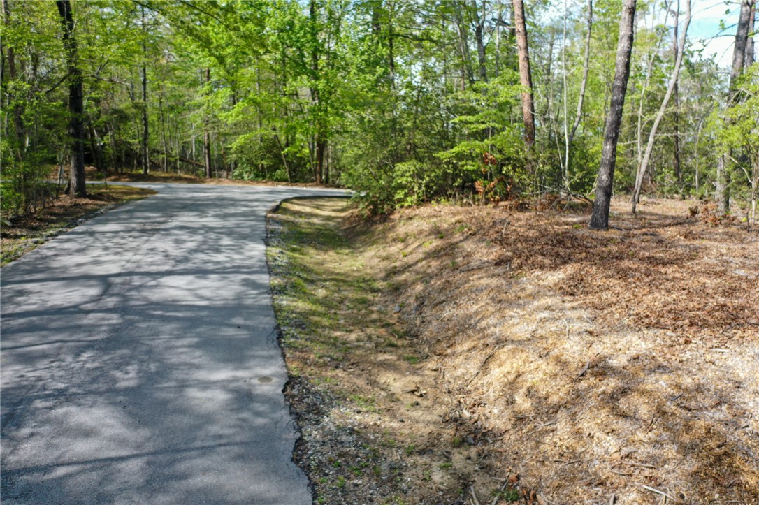 Lot 26 Turtlehead Drive Salem, SC 29676 - Photo 3 of 11 A tranquil, tree-lined asphalt road winds through a natural landscape, offering a peaceful retreat.