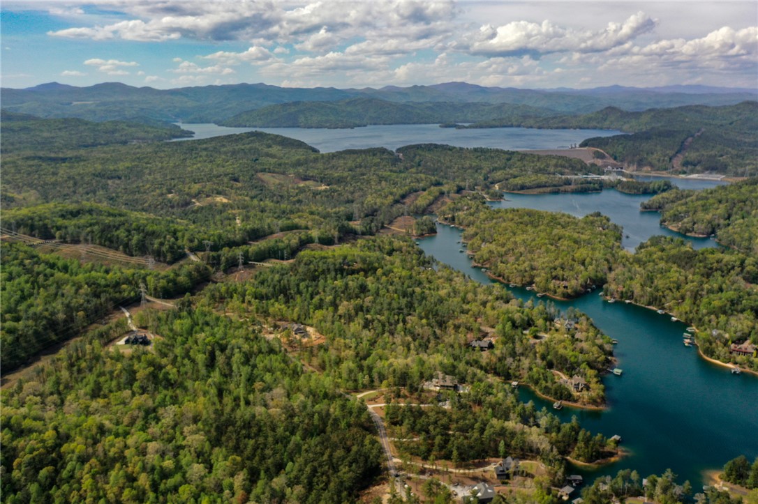 Lot 26 Turtlehead Drive Salem, SC 29676 - Photo 4 of 11 This elevated view captures a serene lake nestled amongst lush, rolling hills under a vast sky.