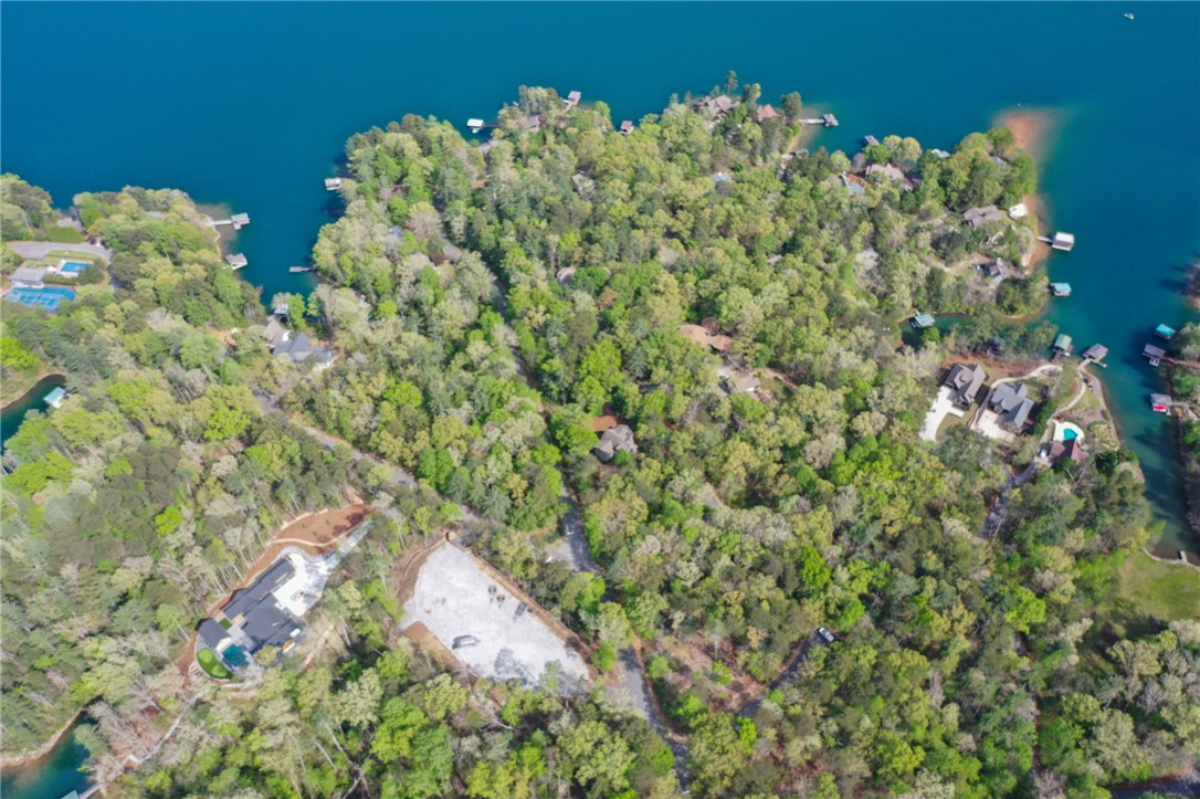 Lot 26 Turtlehead Drive Salem, SC 29676 - Photo 5 of 11 This elevated view captures a serene lakeside community nestled among verdant trees and pristine waters.