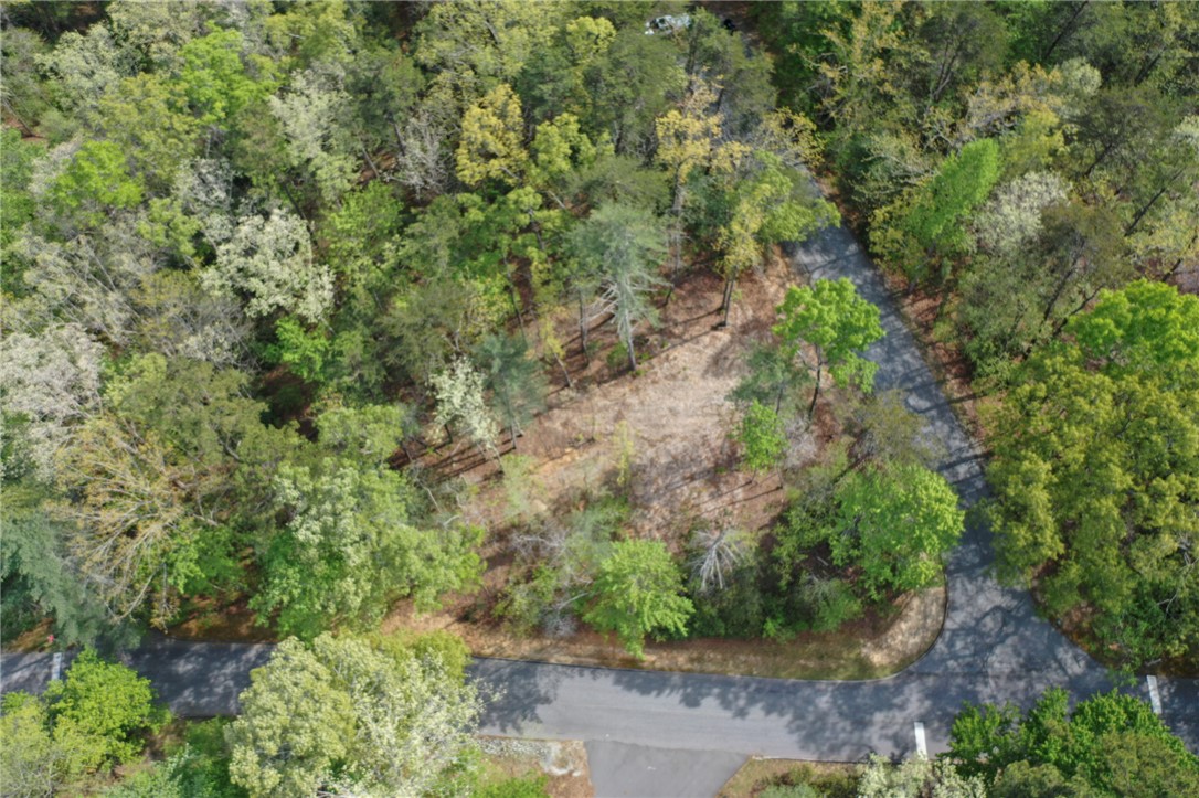 Lot 26 Turtlehead Drive Salem, SC 29676 - Photo 7 of 11 This aerial view showcases a verdant lot nestled within a peaceful, wooded setting.