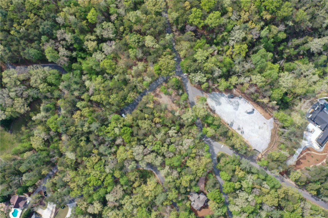 Lot 26 Turtlehead Drive Salem, SC 29676 - Photo 8 of 11 An aerial perspective reveals a vast, tree-filled lot with a winding road and a cleared building site.