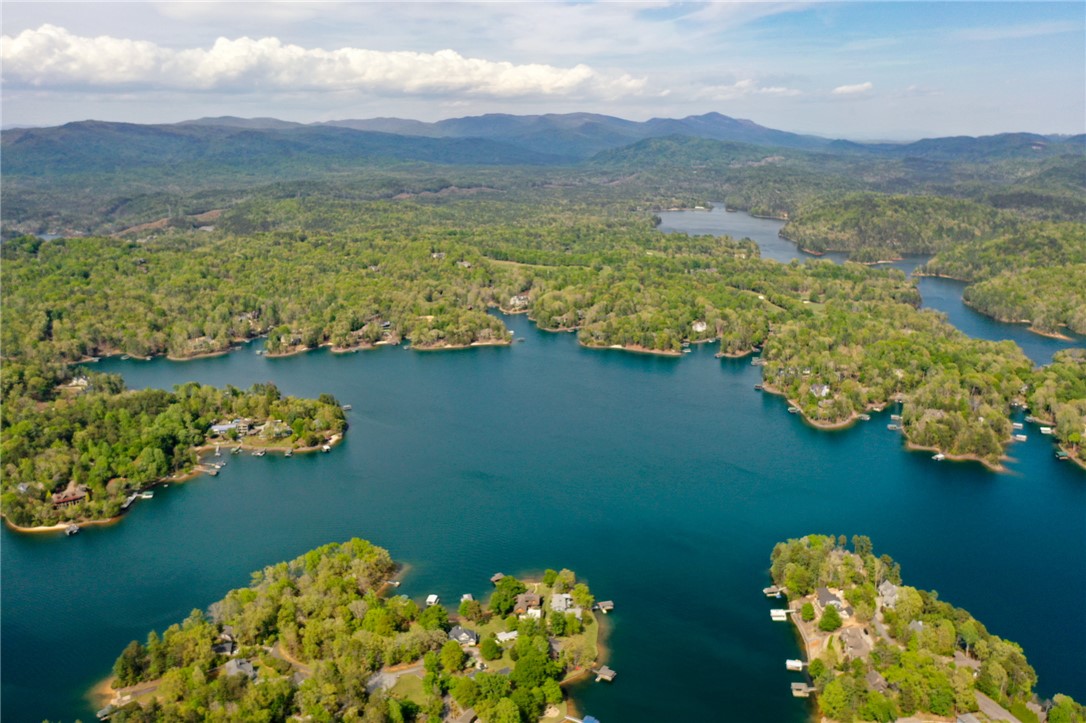 Lot 26 Turtlehead Drive Salem, SC 29676 - Photo 9 of 11 Vast lake views from this forested waterfront property, with lush greenery surrounding the water's edge.