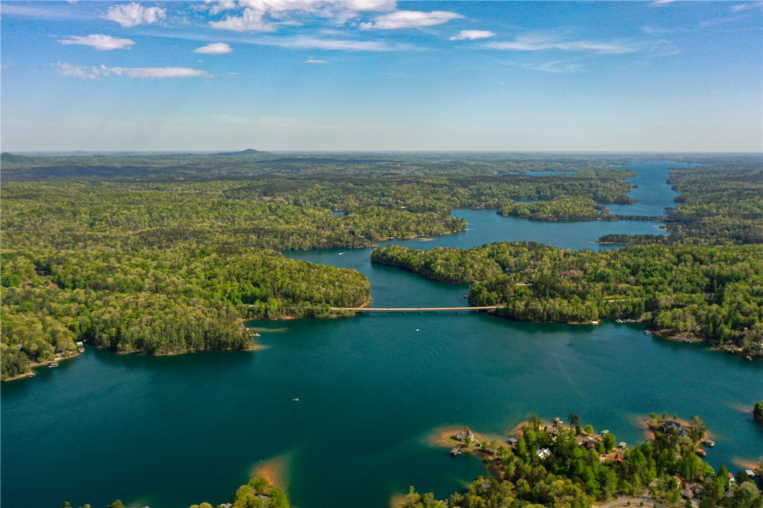 Lot 26 Turtlehead Drive Salem, SC 29676 - Photo 10 of 11 This aerial view showcases a vibrant landscape with a vast lake surrounded by lush green forests.