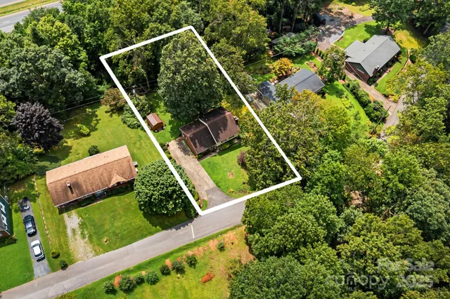 a view of a field with a tree