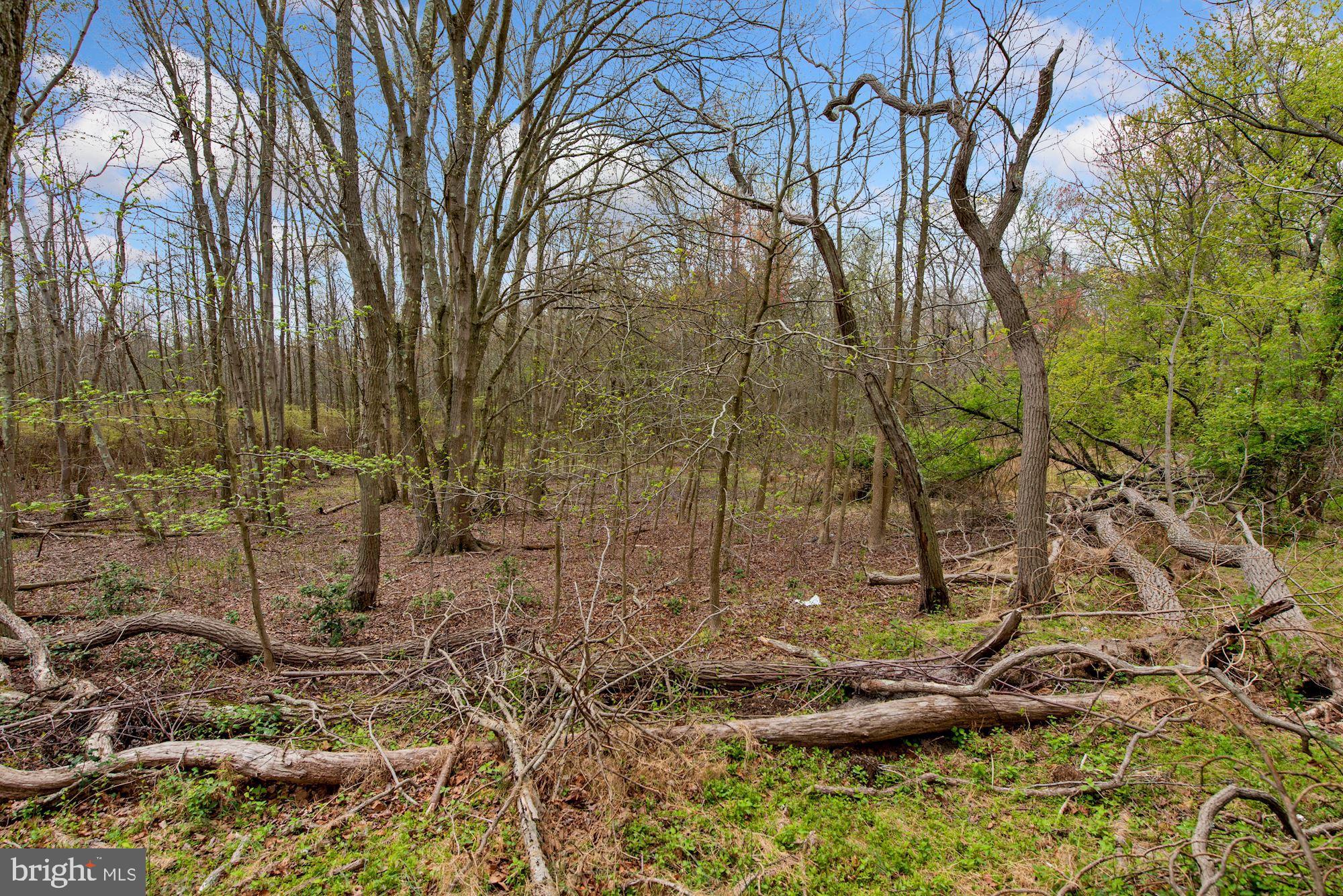 361 Oakshade Road Shamong, NJ 08088 - Photo 33 of 33 Gallery Image 33