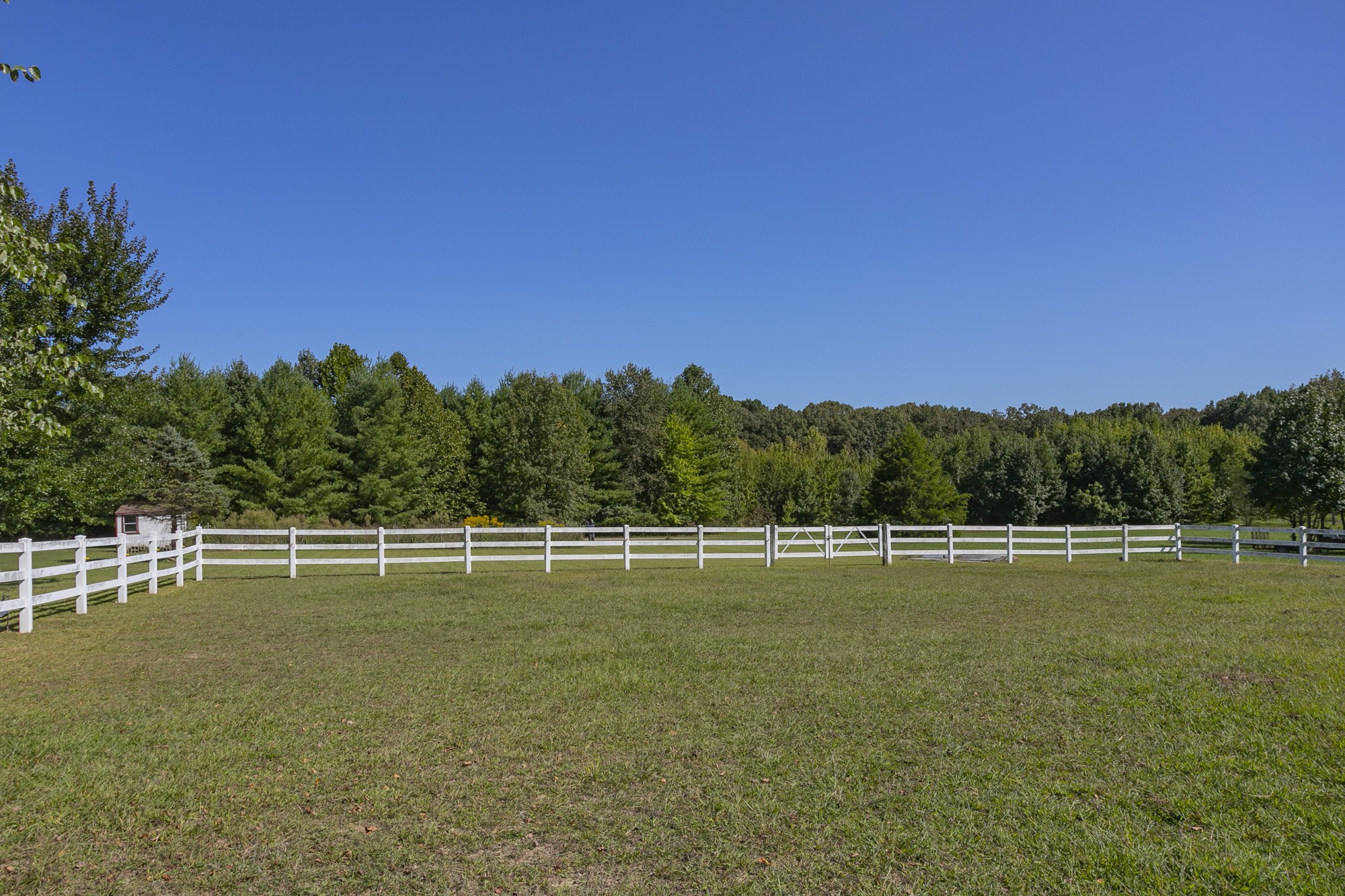 363 Blue Door Road Portland, TN 37148 - Photo 40 of 47 Gallery Image 40