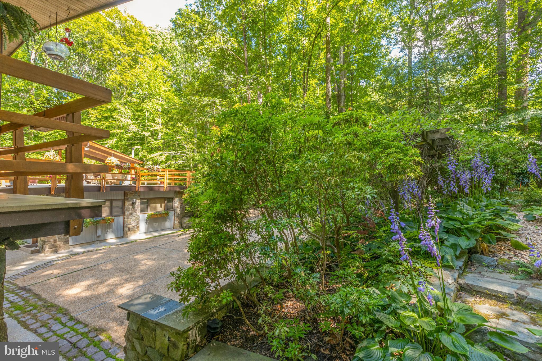 9520 Sagamore Spring Road Great Falls, VA 22066 - Photo 20 of 106 walkways maintain natural beauty