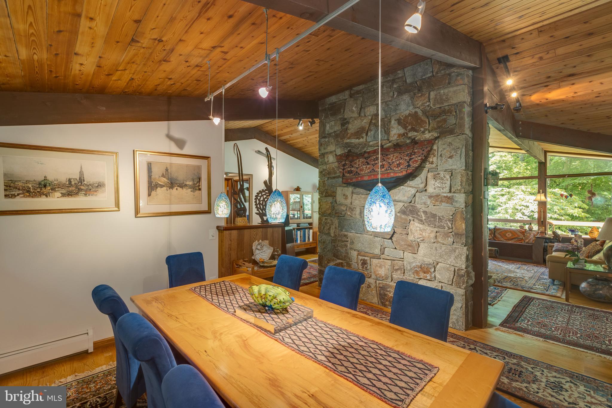 9520 Sagamore Spring Road Great Falls, VA 22066 - Photo 26 of 106 Dining In Tonight?