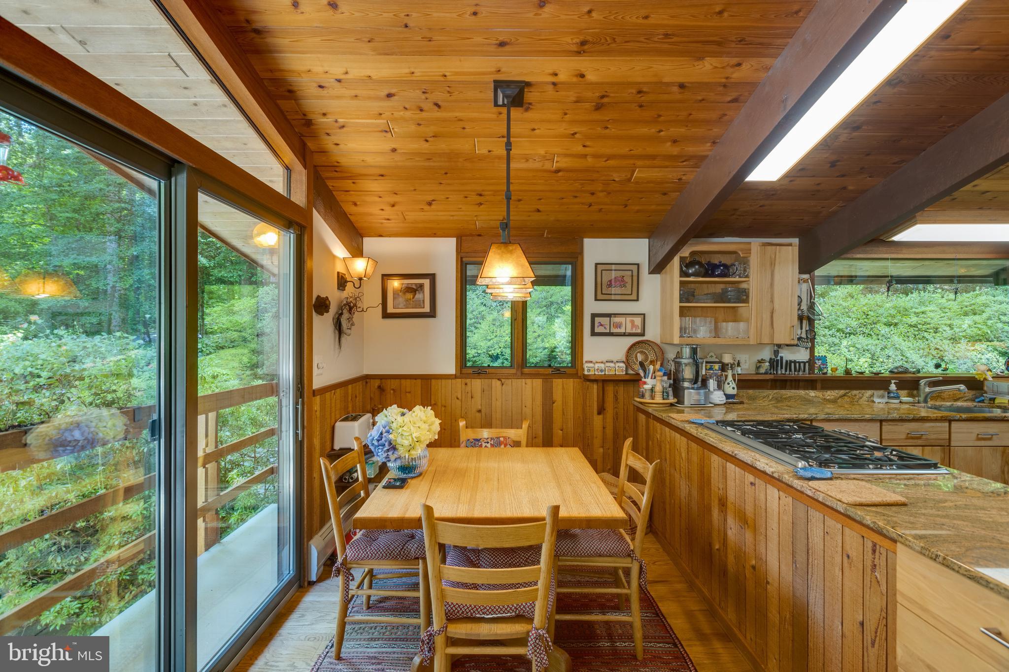 9520 Sagamore Spring Road Great Falls, VA 22066 - Photo 33 of 106 Every space has a view