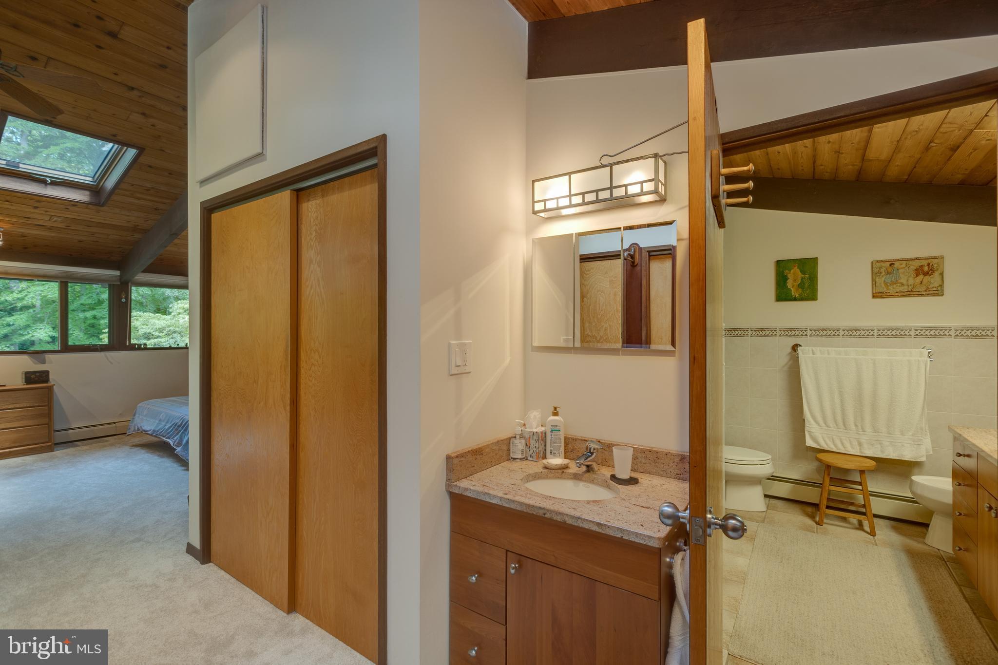 9520 Sagamore Spring Road Great Falls, VA 22066 - Photo 47 of 106 Additional sink /area for pampering yourself