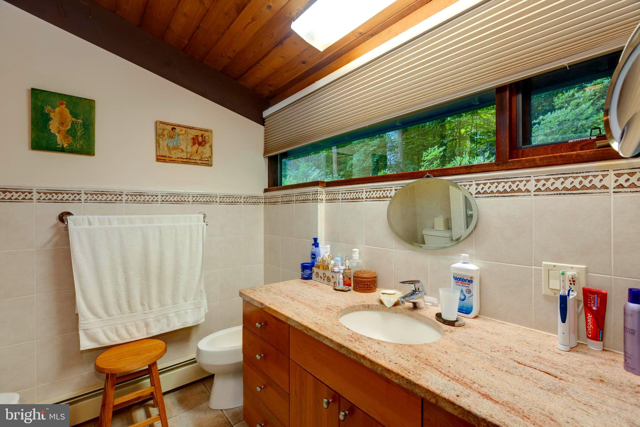 9520 Sagamore Spring Road Great Falls, VA 22066 - Photo 50 of 106 Bidet, Blinds, and space for your personal needs