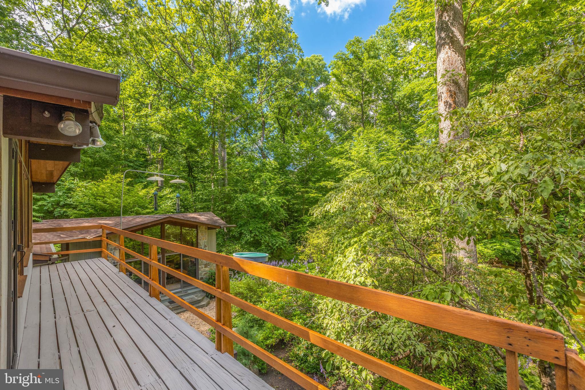 9520 Sagamore Spring Road Great Falls, VA 22066 - Photo 65 of 106 Wrap Around Deck off Main Lvl Overlooking Pond