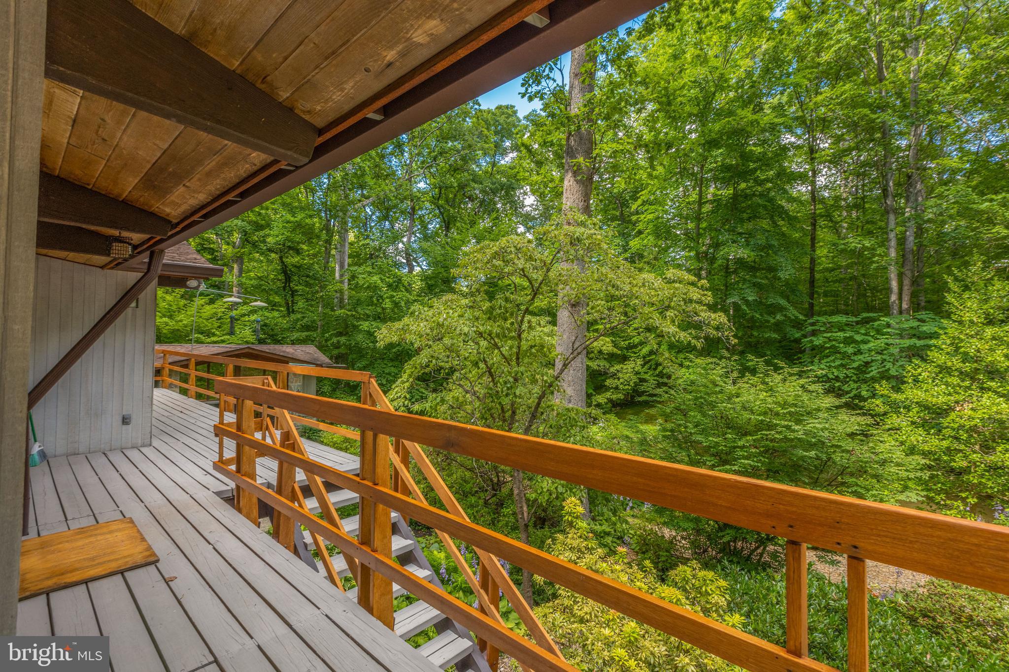 9520 Sagamore Spring Road Great Falls, VA 22066 - Photo 66 of 106 Stairs to Garden, Mulched Trail Surrounding Pond