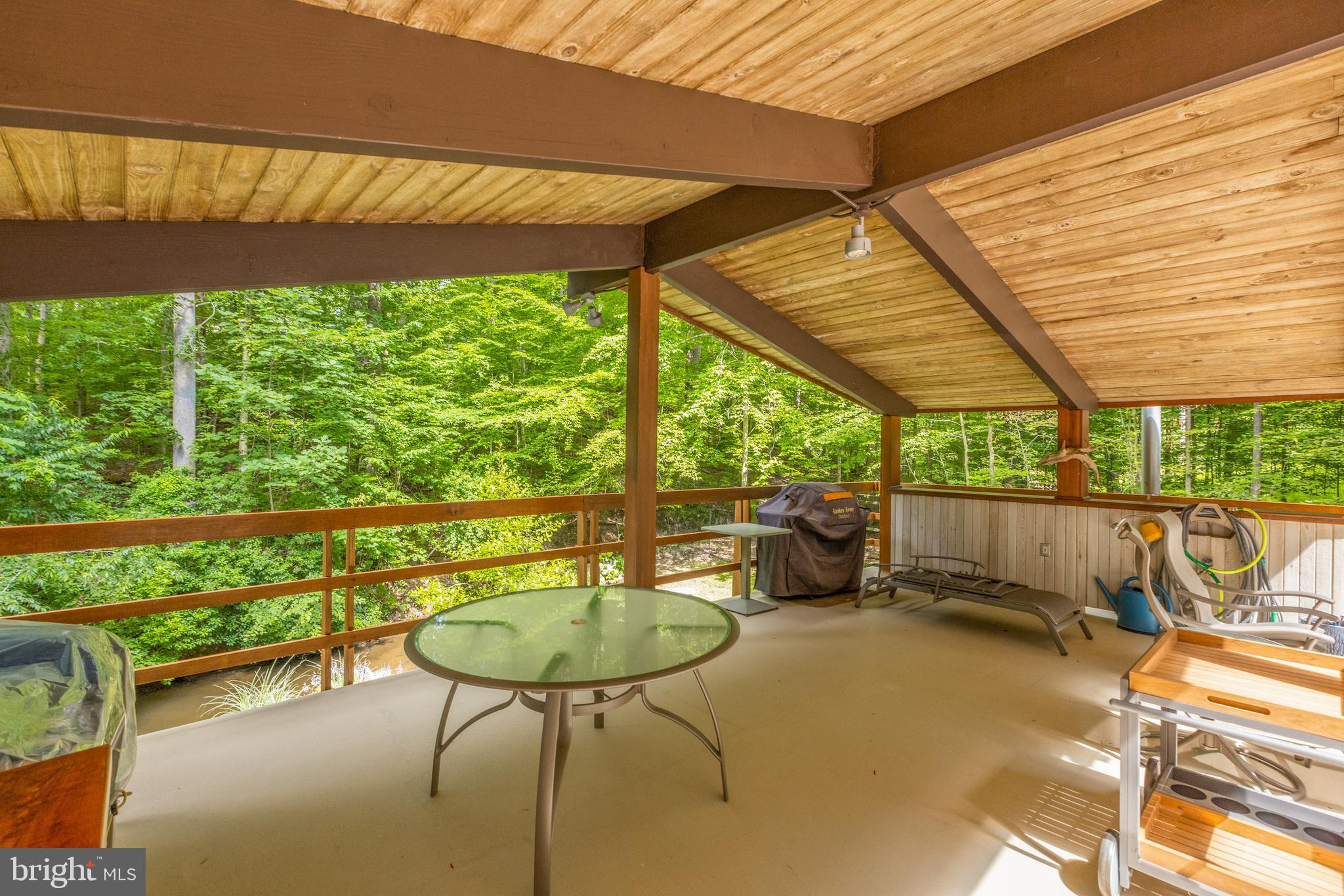 9520 Sagamore Spring Road Great Falls, VA 22066 - Photo 69 of 106 Entertain ALL YEAR Long!