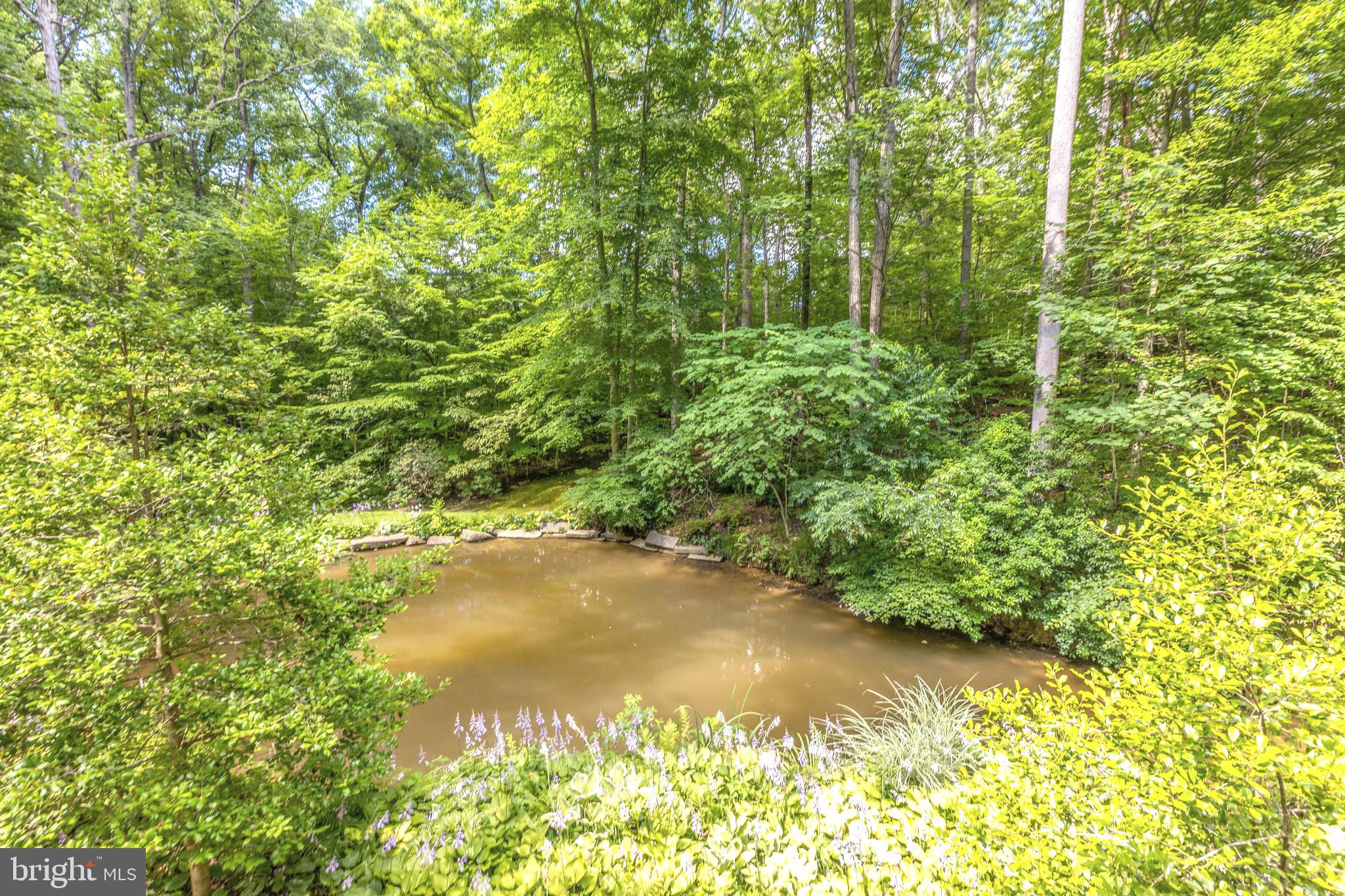 9520 Sagamore Spring Road Great Falls, VA 22066 - Photo 70 of 106 Moving water pond w/fish and an occasional Heron