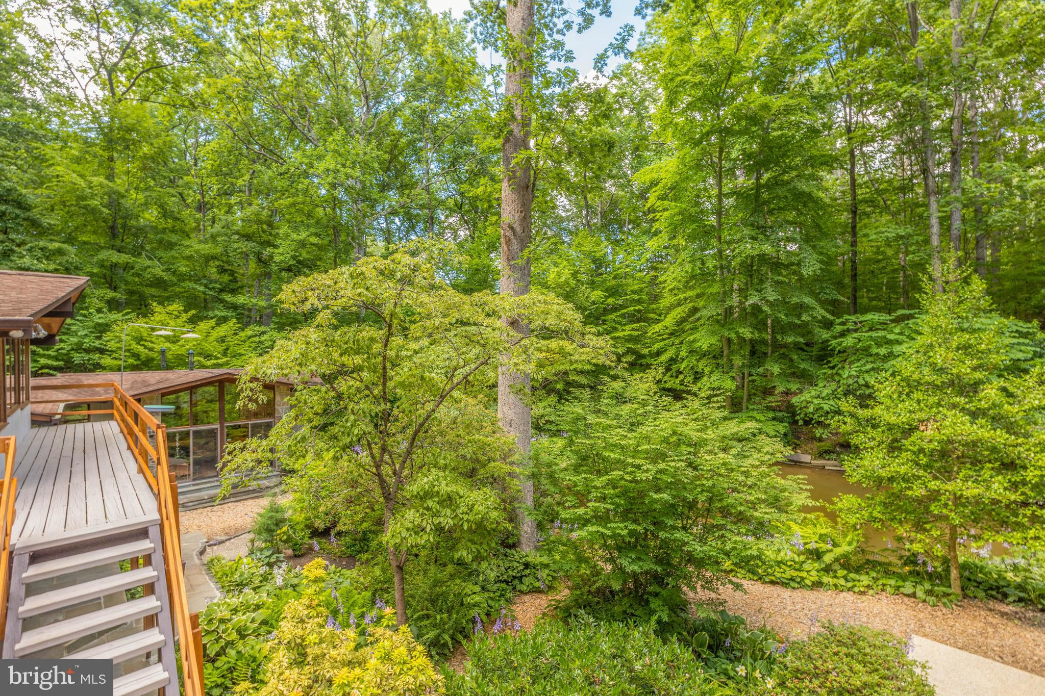 9520 Sagamore Spring Road Great Falls, VA 22066 - Photo 73 of 106 No, Not VT, CO or EU......it's Great Falls!