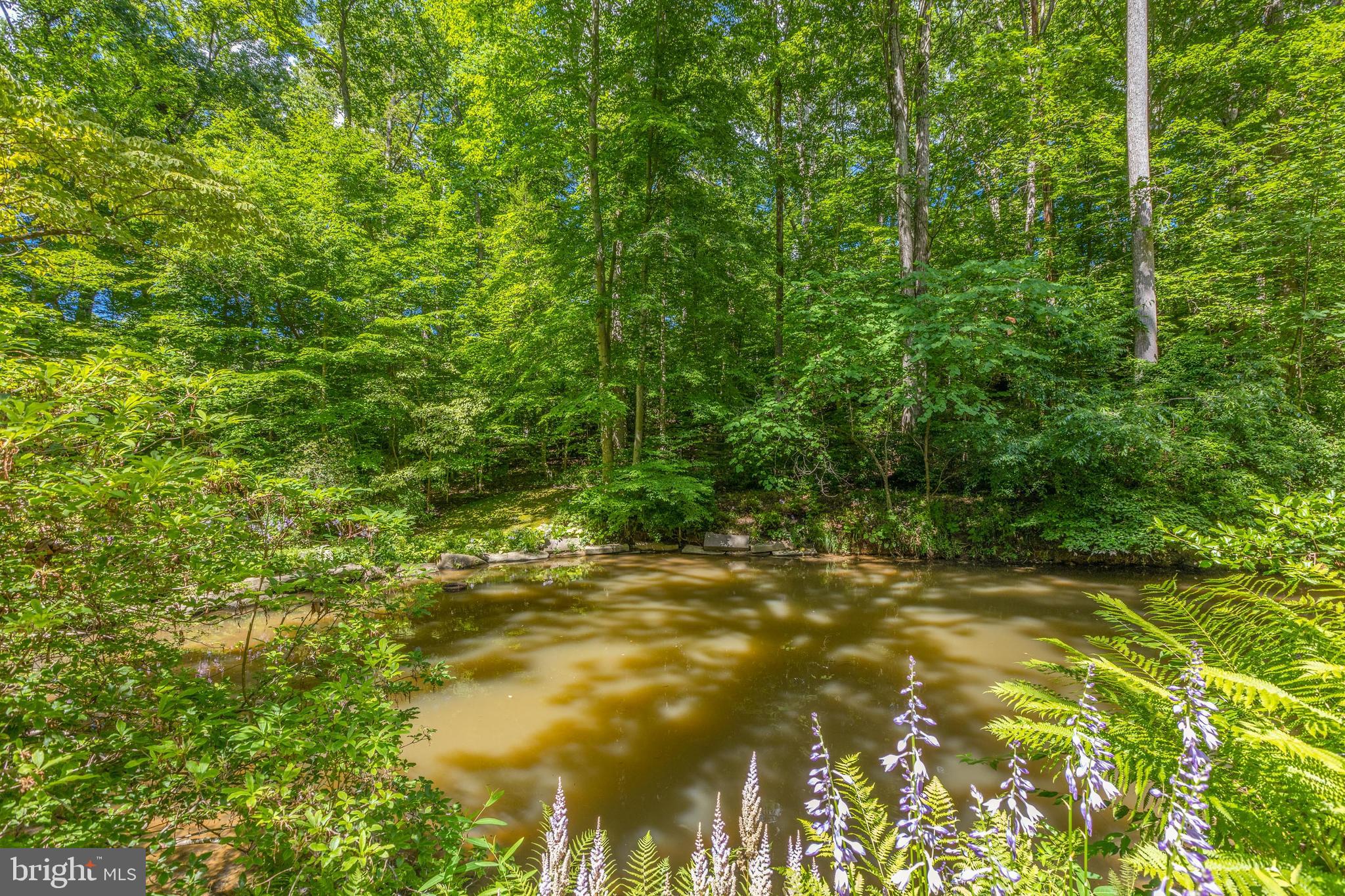 9520 Sagamore Spring Road Great Falls, VA 22066 - Photo 76 of 106 Perennials for low maintenance beauty