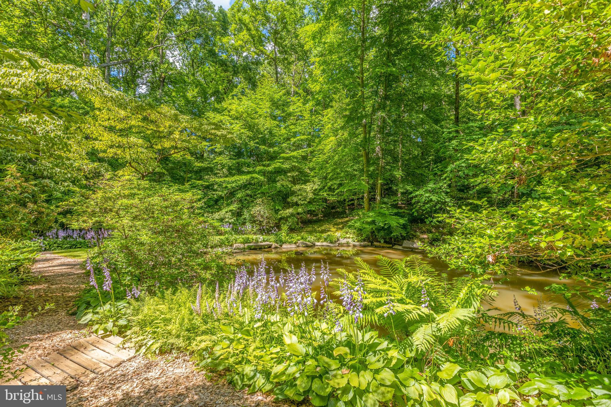 9520 Sagamore Spring Road Great Falls, VA 22066 - Photo 78 of 106 Picture Perfect!