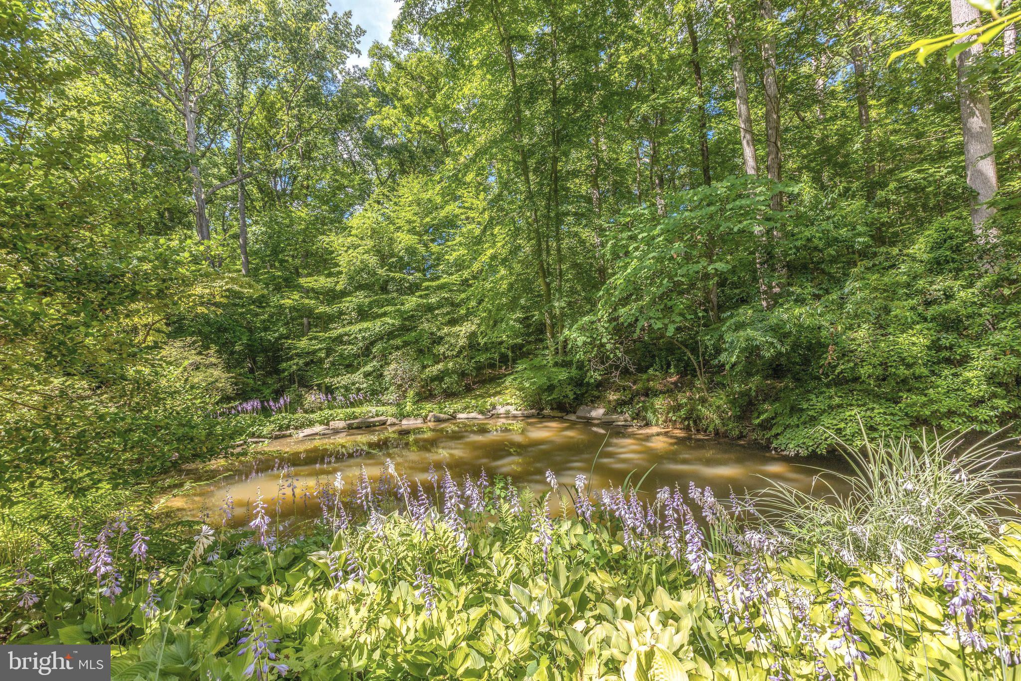 9520 Sagamore Spring Road Great Falls, VA 22066 - Photo 79 of 106 Nature at it's finest without leaving home