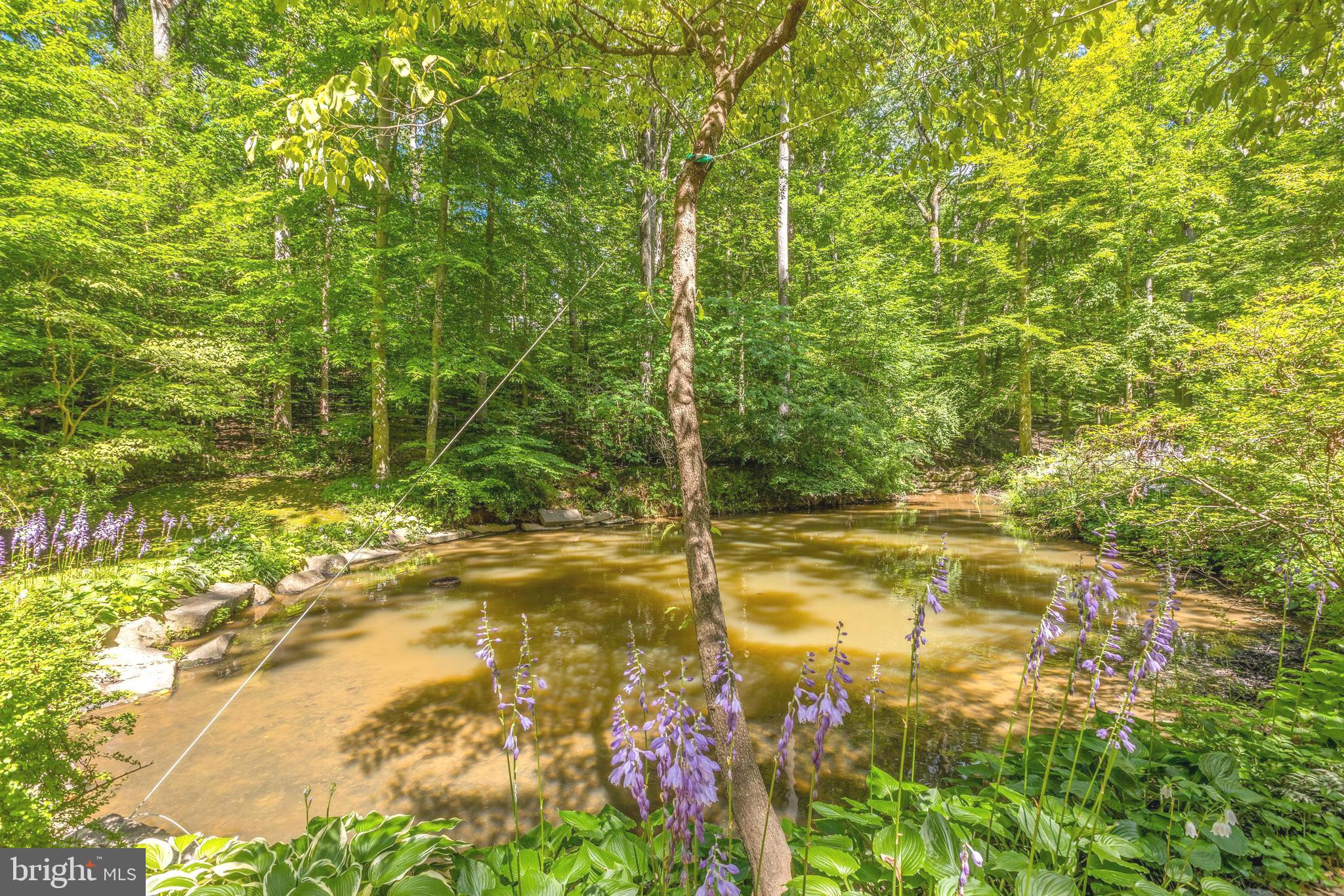 9520 Sagamore Spring Road Great Falls, VA 22066 - Photo 80 of 106