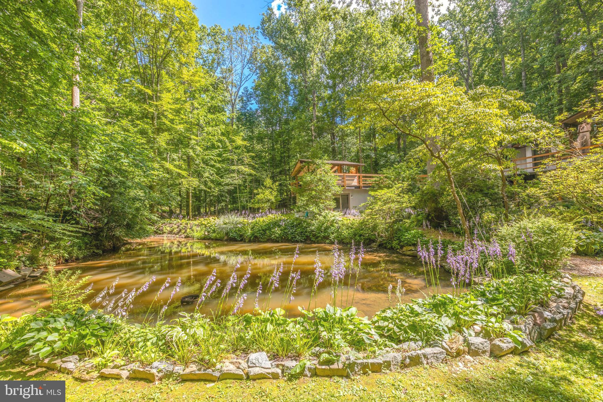 9520 Sagamore Spring Road Great Falls, VA 22066 - Photo 81 of 106 What a Life Choice!