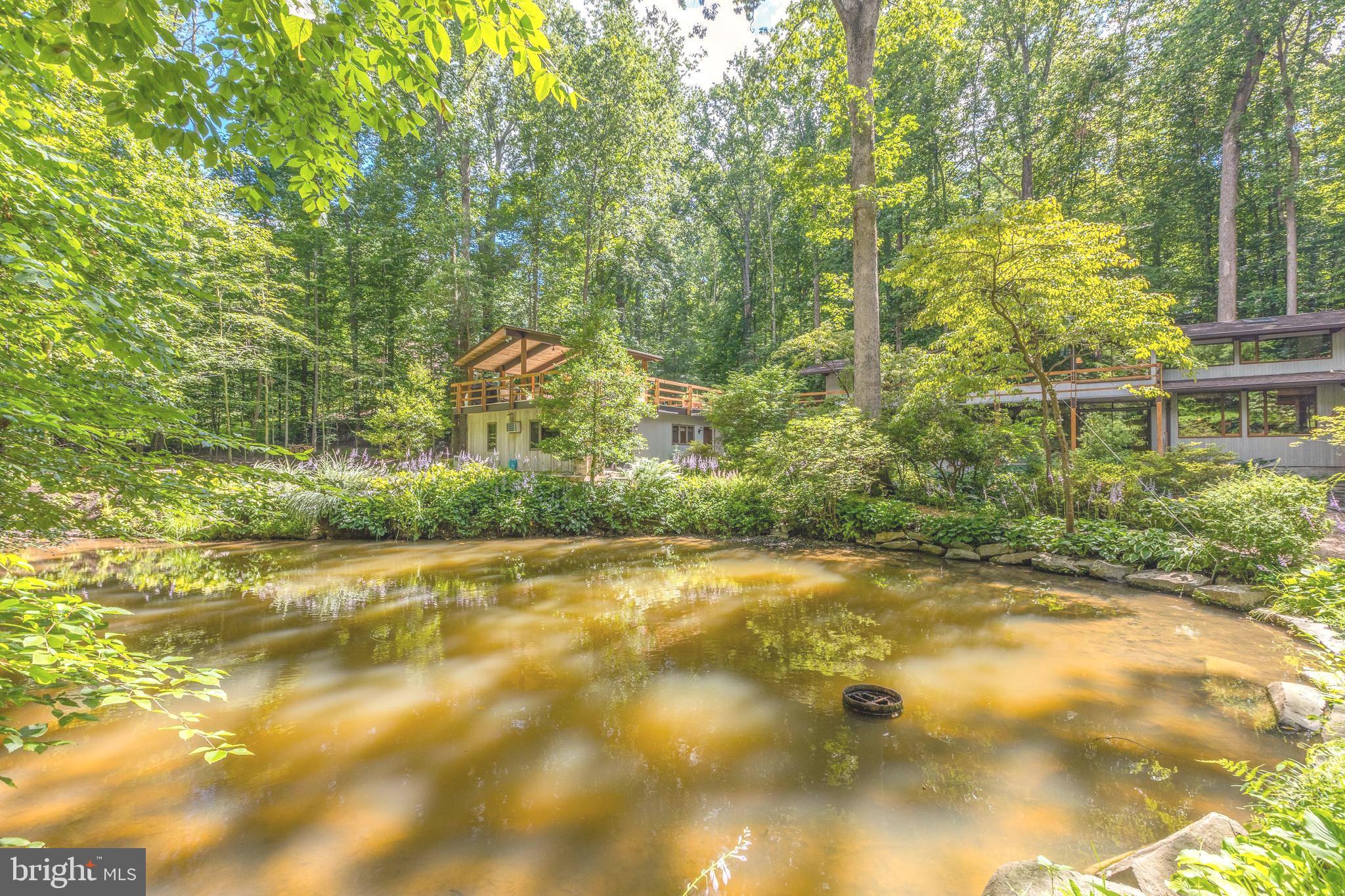 9520 Sagamore Spring Road Great Falls, VA 22066 - Photo 83 of 106 Moving Water Natural Pond w/Surrounded Beauty